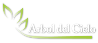 Arbol del Cielo